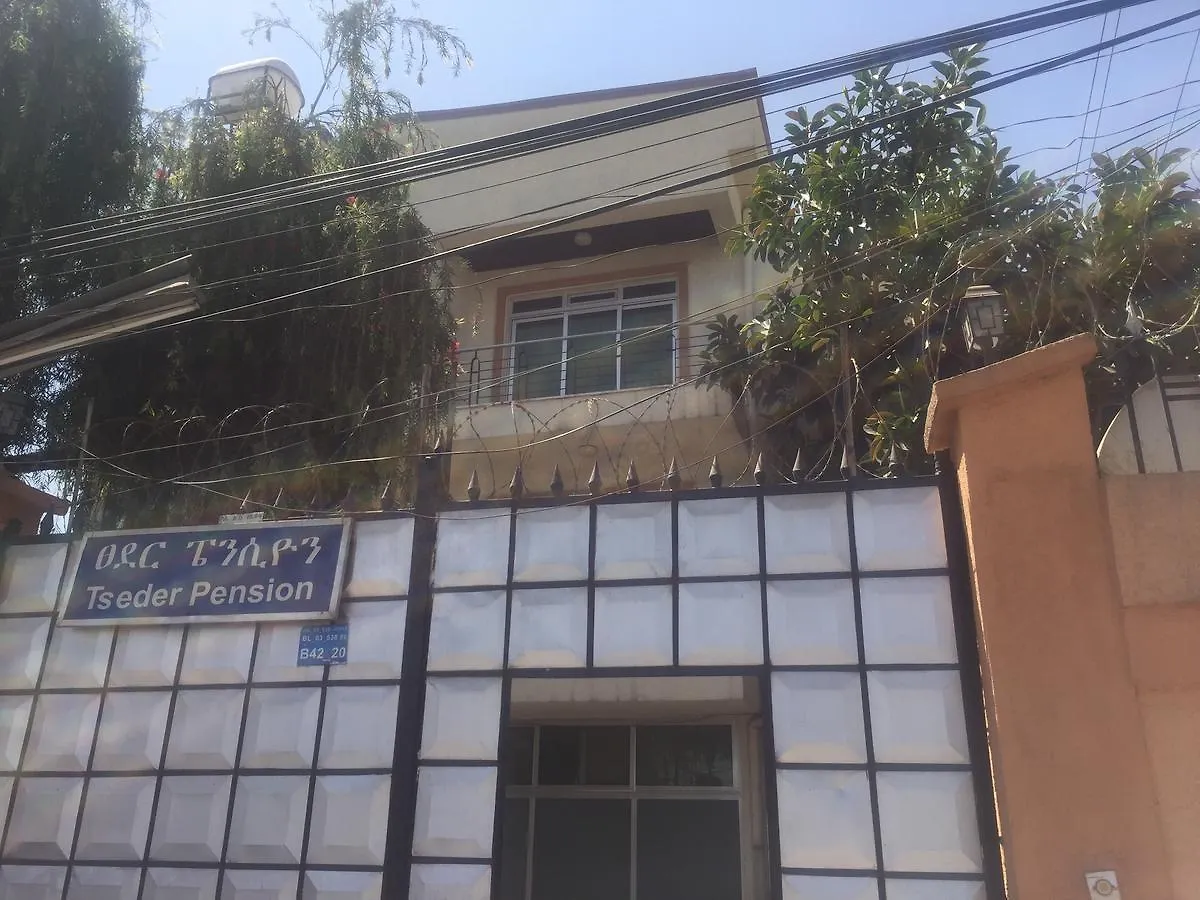 Tseder Pension Addis Ababa Pensionat